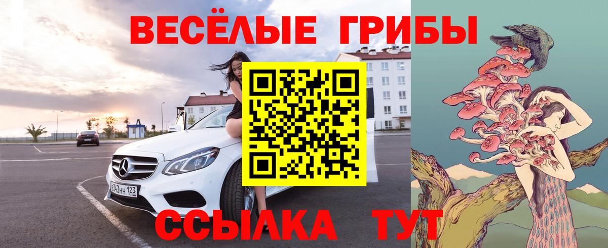 Борисоглебск  Галлюциногенные грибы мицелий  Вход с VPN 