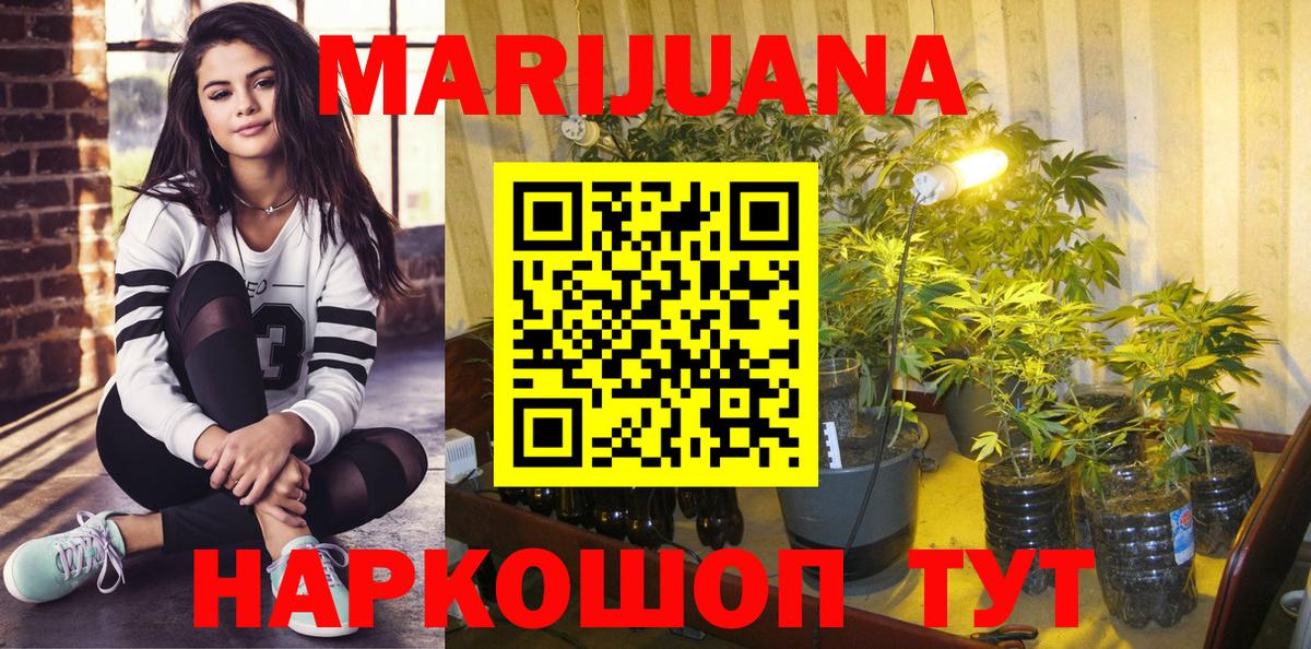 Конопля план Борисоглебск